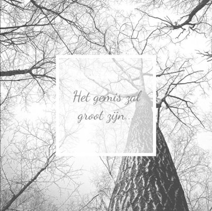 Gevouwen rouwkaart "Bomen zwart/wit"