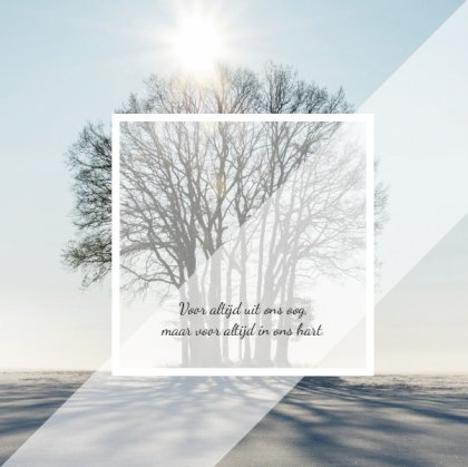 Rouwkaart afbeelding bomen op sneeuwlandschap en foto aan binnenzijde