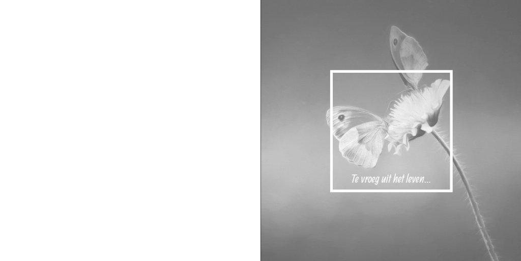 Rouwkaart afbeelding vlindertjes op bloem en foto aan binnenzijde Rouwkaart afbeelding vlindertjes op bloem en foto aan binnenzijde