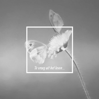 Rouwkaart afbeelding vlindertjes op bloem en foto aan binnenzijde Rouwkaart afbeelding vlindertjes op bloem en foto aan binnenzijde