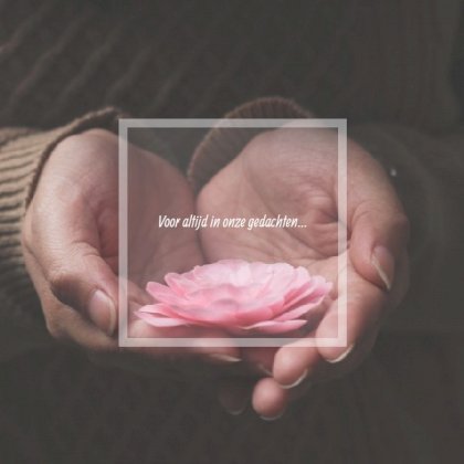 Gevouwen rouwkaart "Bloem in gevouwen handen"