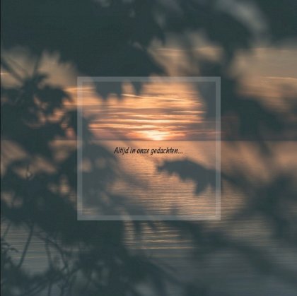 Gevouwen rouwkaart "Zonsondergang door de bladeren"