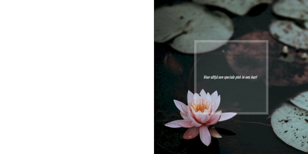 Gevouwen rouwkaart "Waterlelie" Gevouwen rouwkaart "Waterlelie"