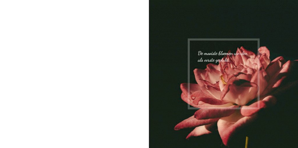 Gevouwen rouwkaart "Rode bloem" Gevouwen rouwkaart "Rode bloem"