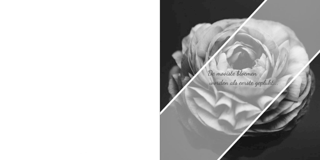 Gevouwen rouwkaart "Bloem zwart/wit" Gevouwen rouwkaart "Bloem zwart/wit"