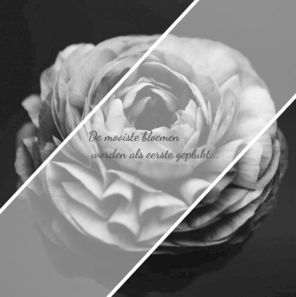 Gevouwen rouwkaart "Bloem zwart/wit"