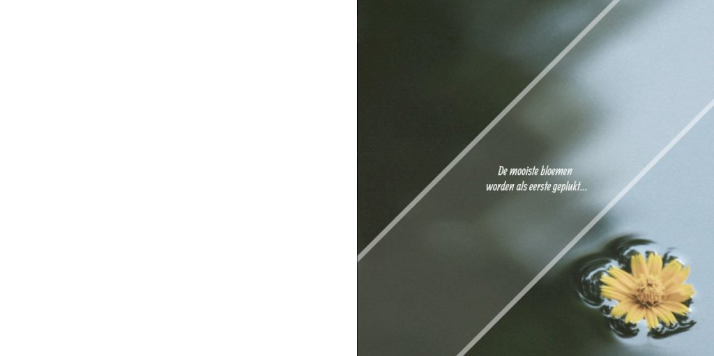 Rouwkaart afbeelding geel bloemetje in water en foto aan binnenzijde Rouwkaart afbeelding geel bloemetje in water en foto aan binnenzijde