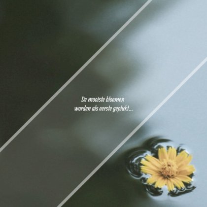 Rouwkaart afbeelding geel bloemetje in water en foto aan binnenzijde