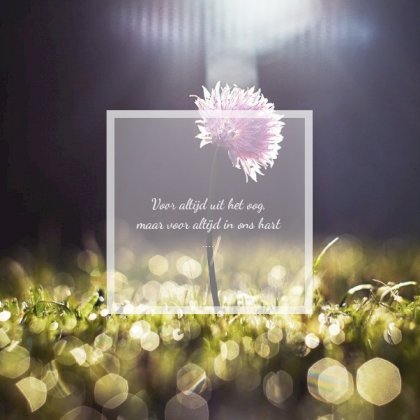 Gevouwen rouwkaart "Bloem in het gras"