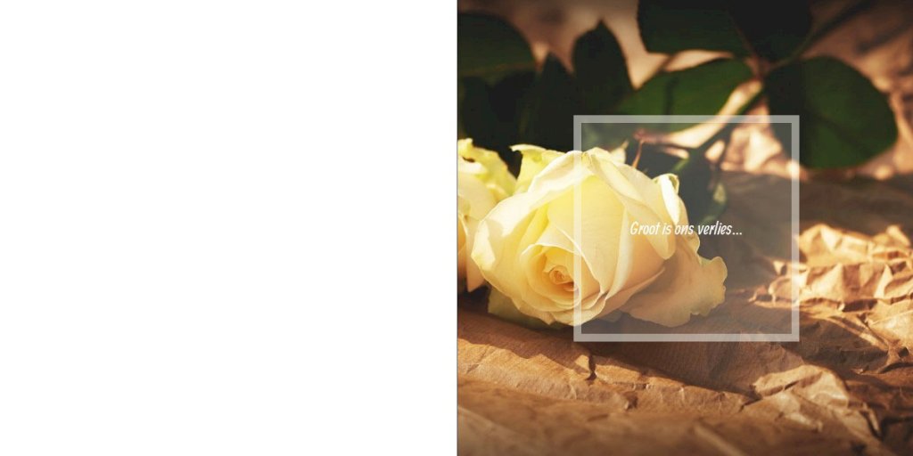 Rouwkaart afbeelding witte roos op papier en foto aan binnenzijde Rouwkaart afbeelding witte roos op papier en foto aan binnenzijde