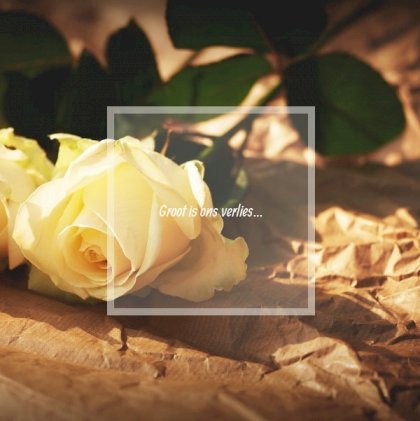 Rouwkaart afbeelding witte roos op papier en foto aan binnenzijde Rouwkaart afbeelding witte roos op papier en foto aan binnenzijde