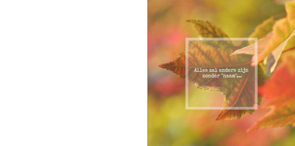 Rouwkaart afbeelding kleurrijke herfstbladeren en foto aan binnenzijde Rouwkaart afbeelding kleurrijke herfstbladeren en foto aan binnenzijde