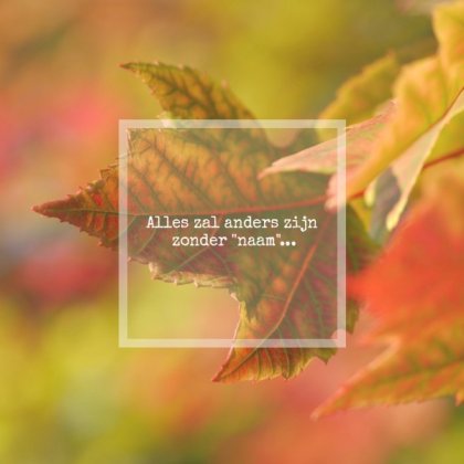 Rouwkaart afbeelding kleurrijke herfstbladeren en foto aan binnenzijde Rouwkaart afbeelding kleurrijke herfstbladeren en foto aan binnenzijde