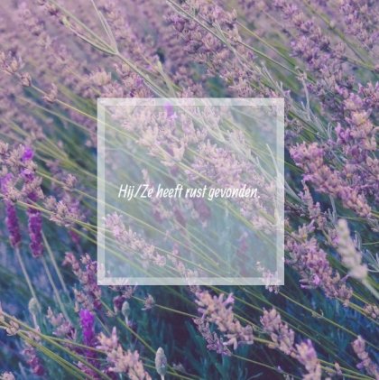 Gevouwen rouwkaart "Lavendel"