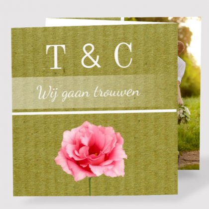 Drieluik fotokaart "Roos"