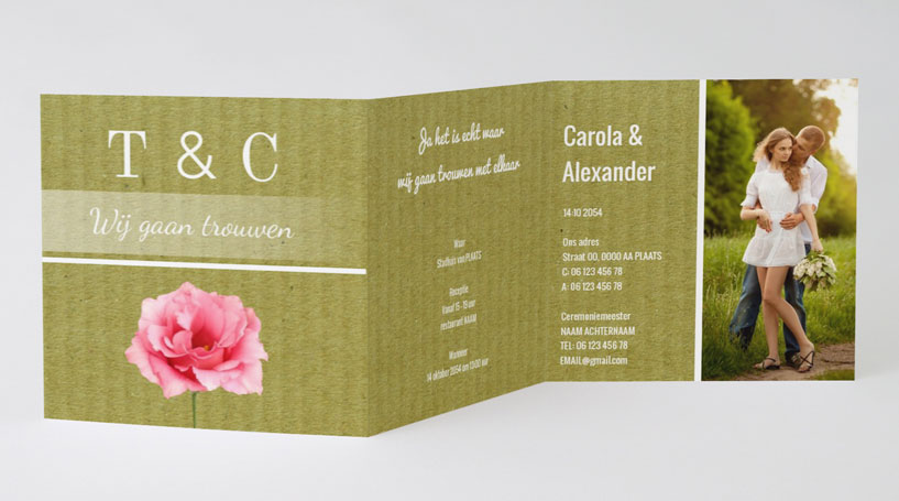 Drieluik fotokaart "Roos" Drieluik fotokaart "Roos"