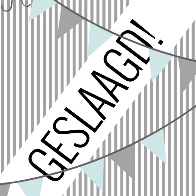 Uitnodigingskaart "Vlaggetjes Geslaagd" Uitnodigingskaart "Vlaggetjes Geslaagd"