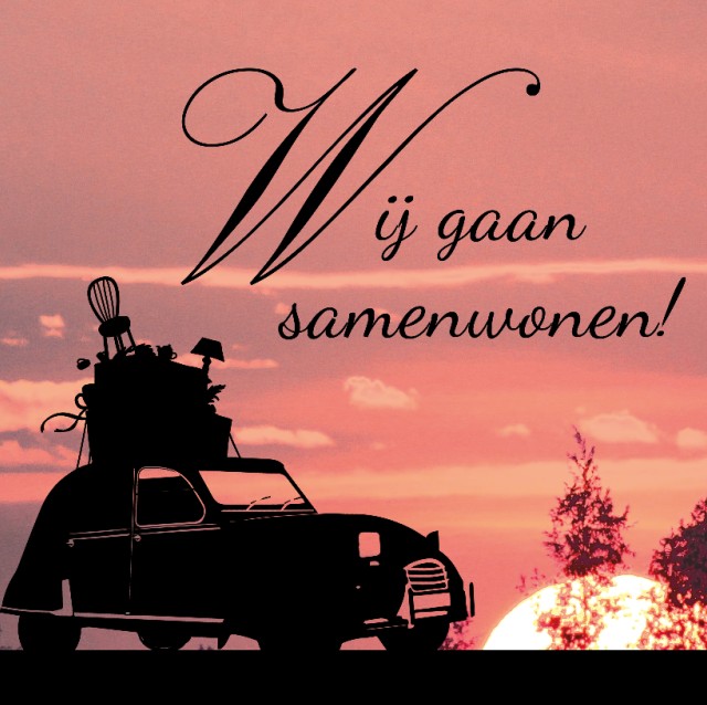 Verhuiskaart "Auto & Zonsondergang & Samenwonen" Verhuiskaart "Auto & Zonsondergang & Samenwonen"