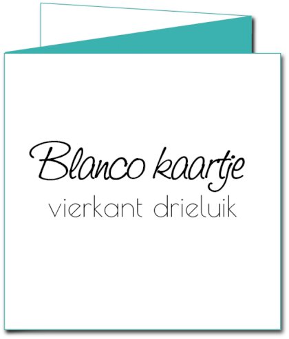 Drieluik verhuiskaart "Blanco"