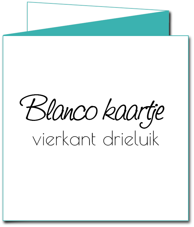 Drieluik verhuiskaart "Blanco"