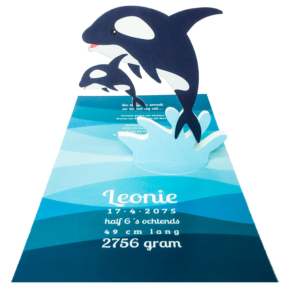 Pop Up kaart met dolfijnen Pop Up kaart met dolfijnen