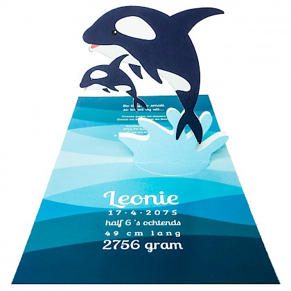 Pop Up kaart met dolfijnen