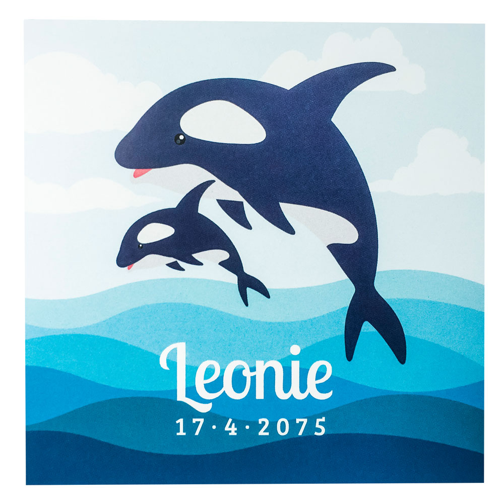 Pop Up kaart met dolfijnen Pop Up kaart met dolfijnen