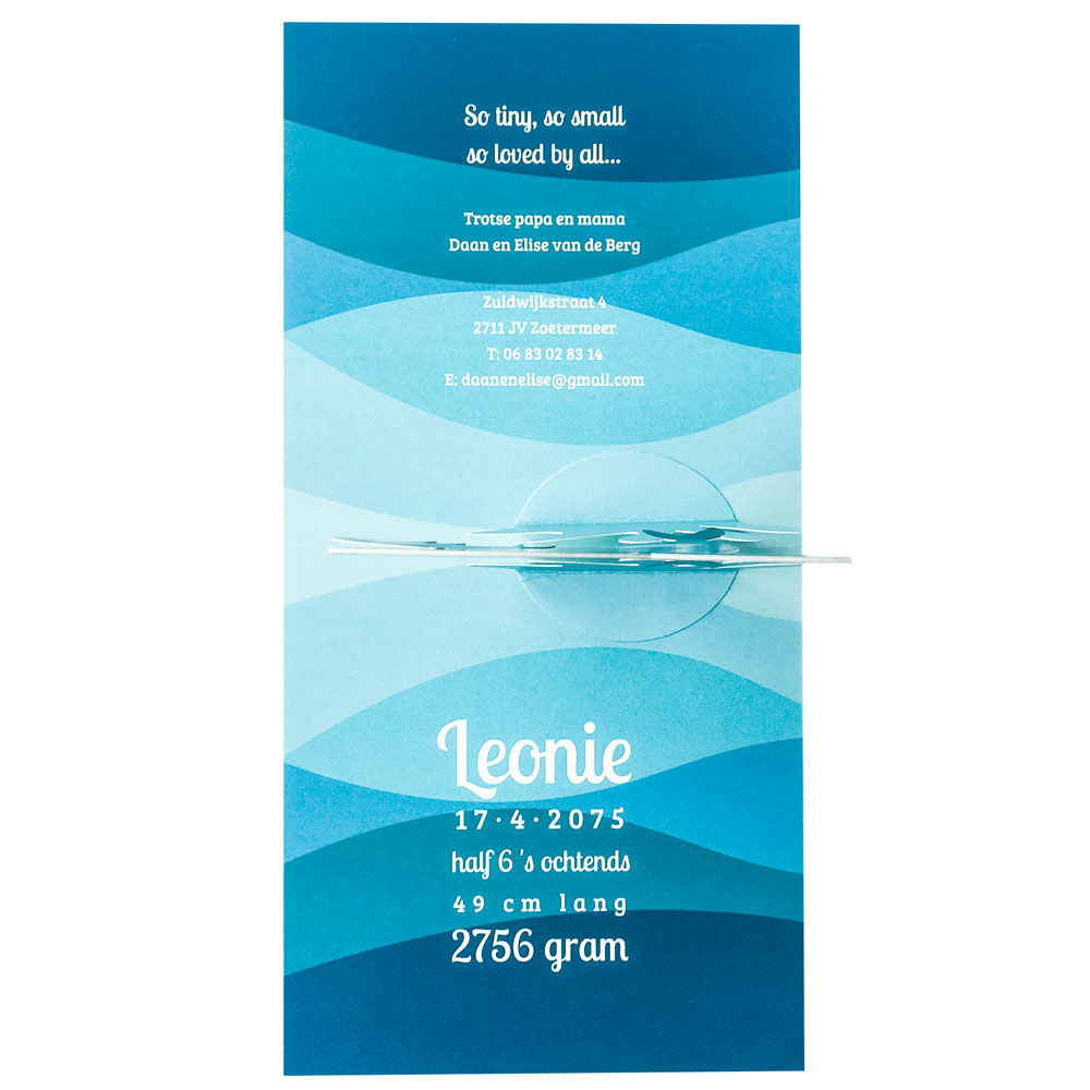 Pop Up kaart met dolfijnen Pop Up kaart met dolfijnen