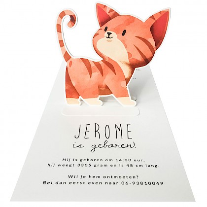 Pop up kaartje "Poesje" Pop up kaartje "Poesje"