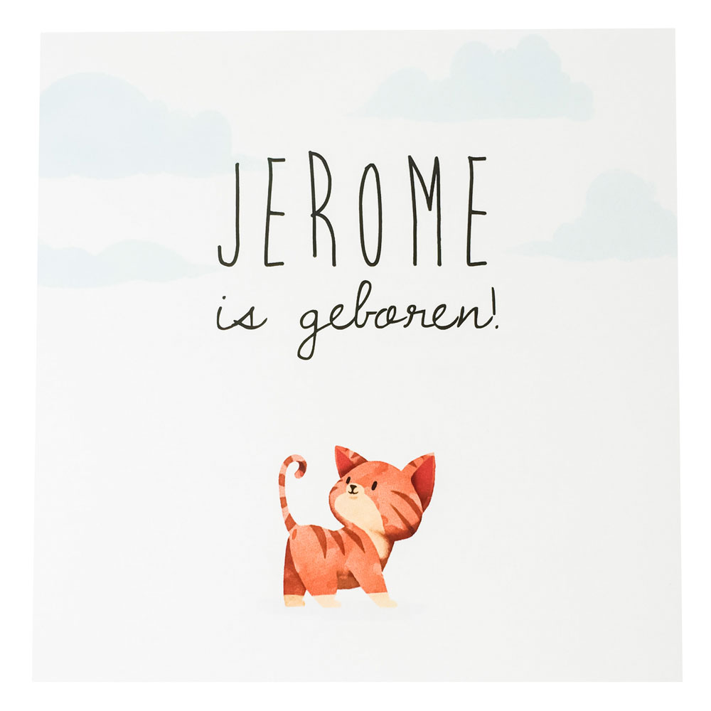 Pop up kaartje "Poesje" Pop up kaartje "Poesje"