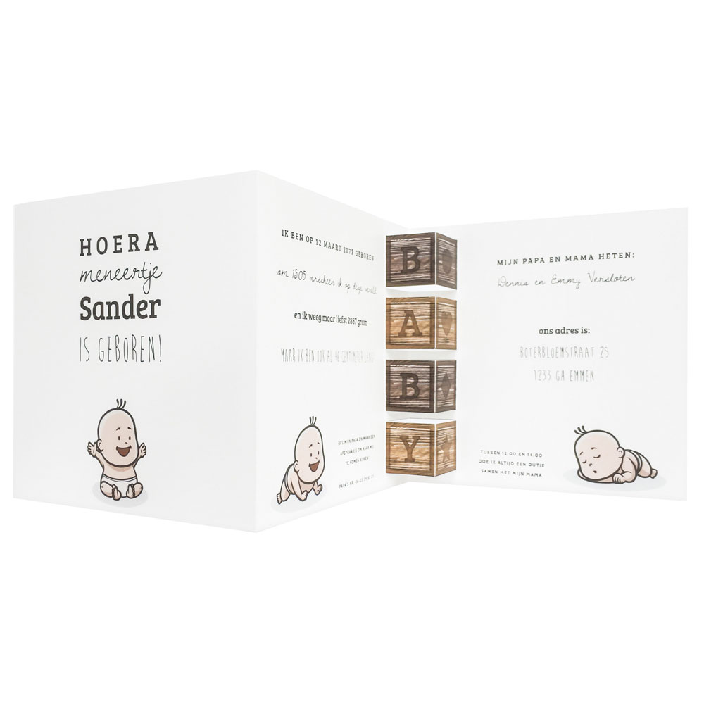 Drieluik geboortekaart met baby's en pop-up blokken Drieluik geboortekaart met baby's en pop-up blokken