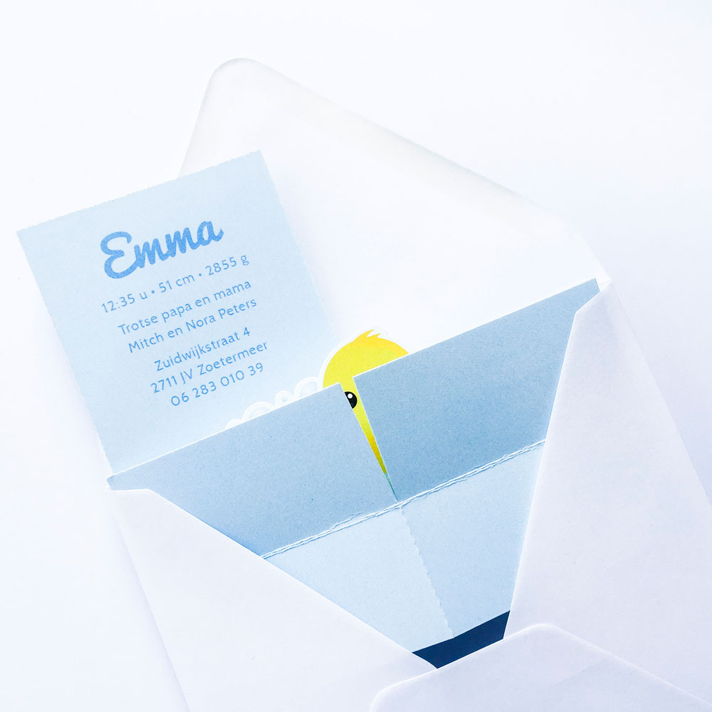 Pop up doosje "Bad eendje" Pop up doosje "Bad eendje"