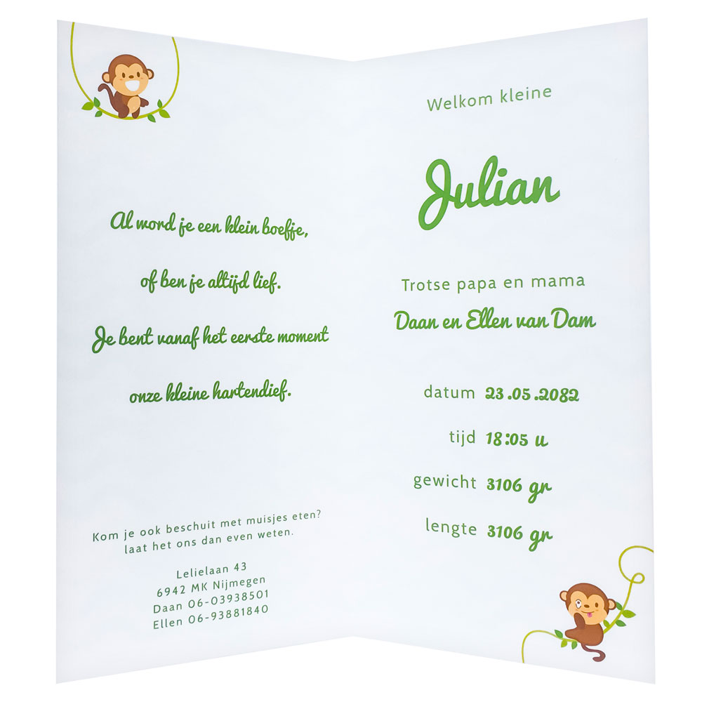 Geboortekaart babyfles met aap Geboortekaart babyfles met aap