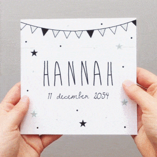 Doordraaier mintgroene vlaggetjes Doordraaier mintgroene vlaggetjes