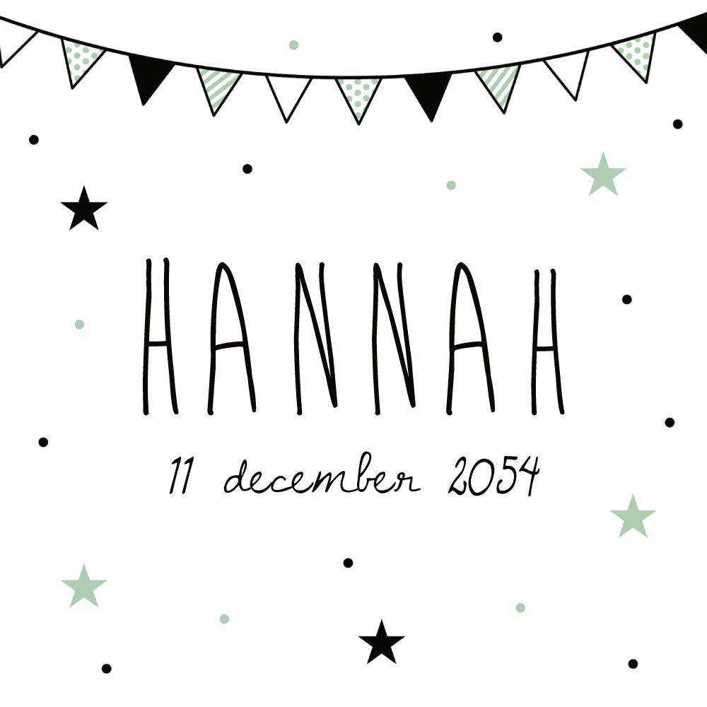 Doordraaier mintgroene vlaggetjes Doordraaier mintgroene vlaggetjes