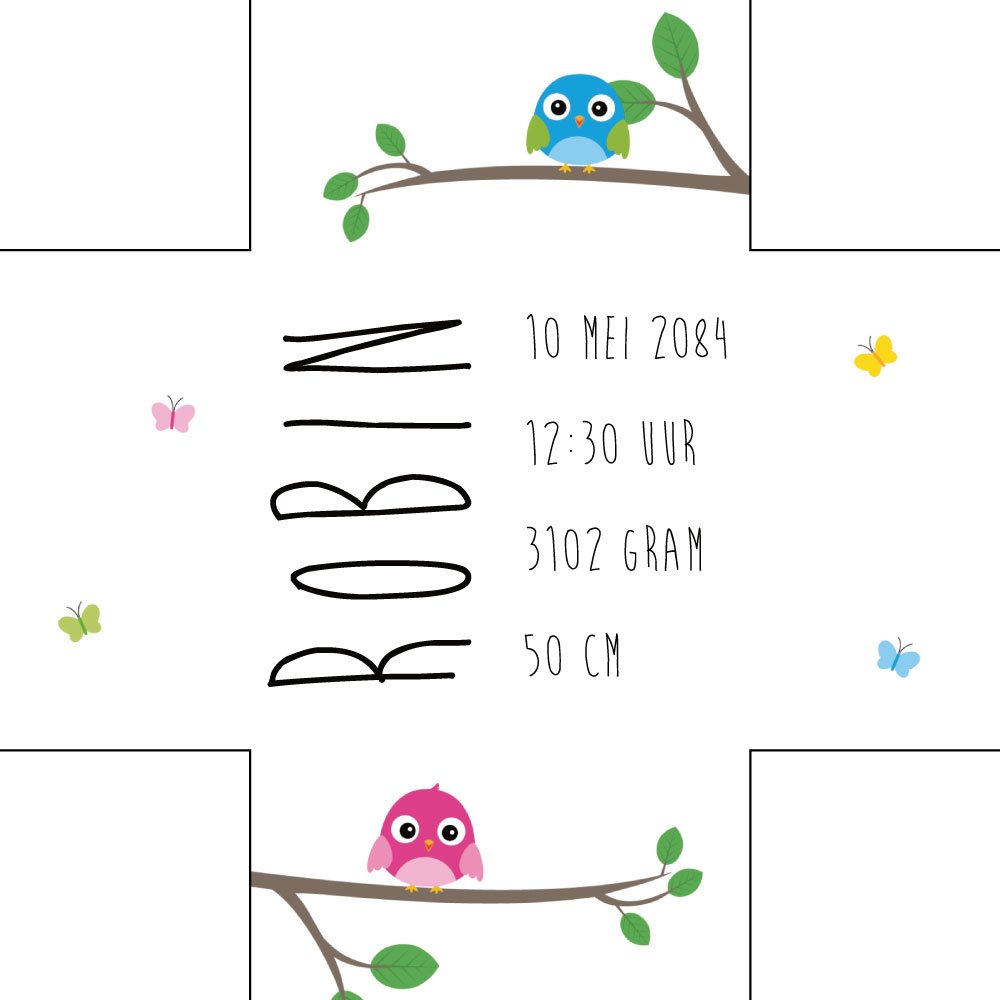 Dolle doordraaier vogeltjes Dolle doordraaier vogeltjes