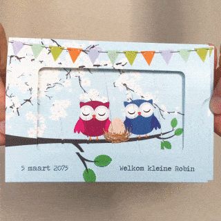 Schuifkaartje "Uiltjes" Schuifkaartje "Uiltjes"