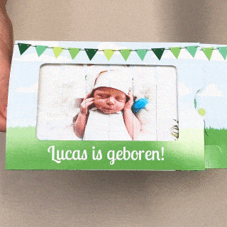 Foto schuifkaartje "Bosdieren" Foto schuifkaartje "Bosdieren"