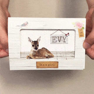 Foto schuifkaartje "Hertje"