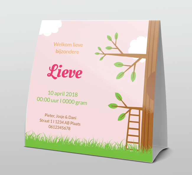 Vosje met roze strikje Vosje met roze strikje