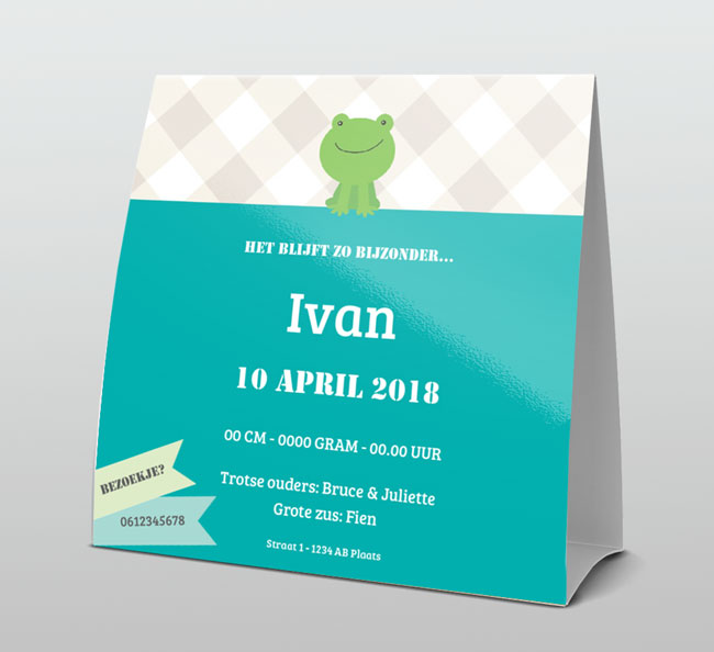 Kikkertje in een lijstje Kikkertje in een lijstje