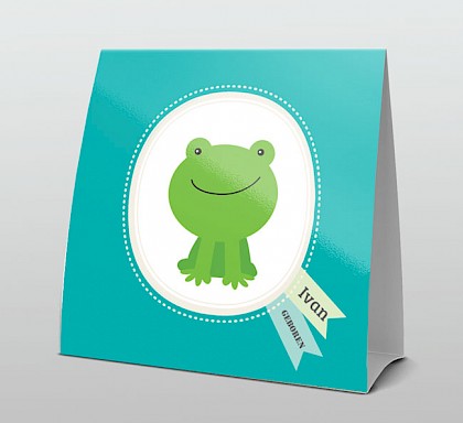 Kikkertje in een lijstje