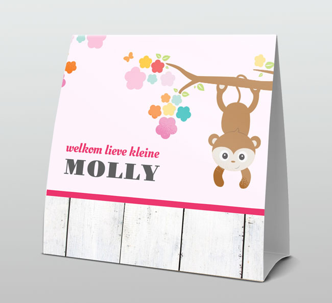 Hangend aapje Hangend aapje