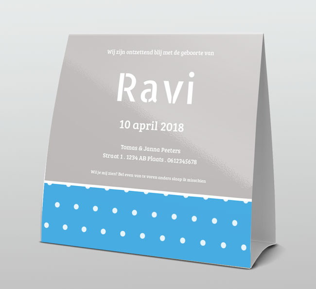 Vosje met grijs en blauwe achtergrond Vosje met grijs en blauwe achtergrond