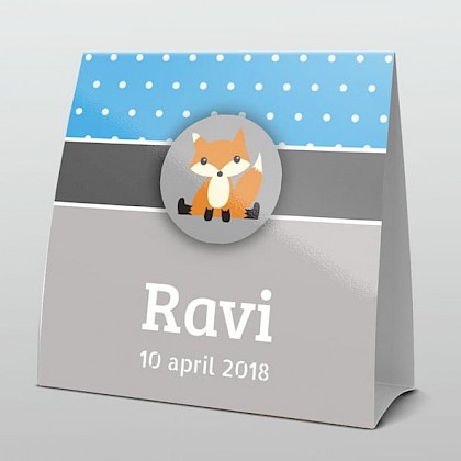 Vosje met grijs en blauwe achtergrond