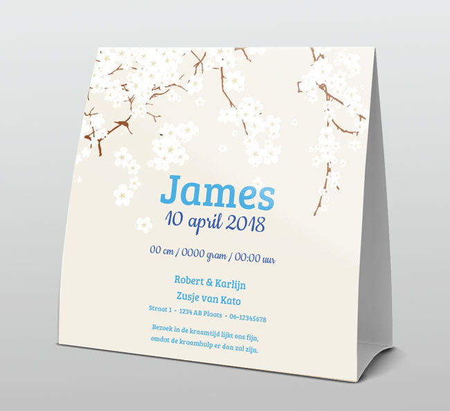 Blauw met witte bloesem Blauw met witte bloesem