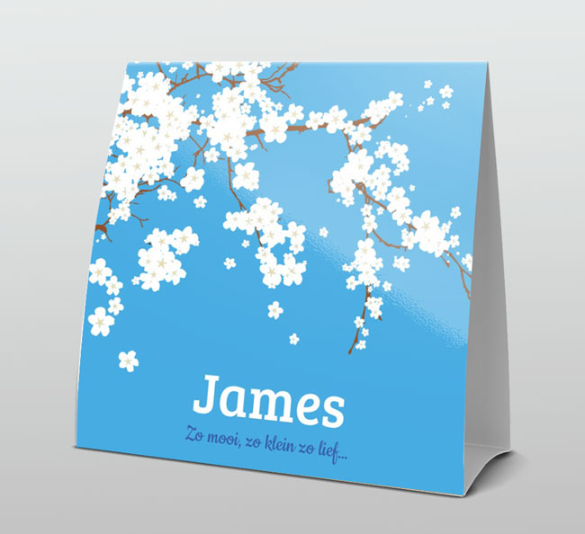 Blauw met witte bloesem Blauw met witte bloesem