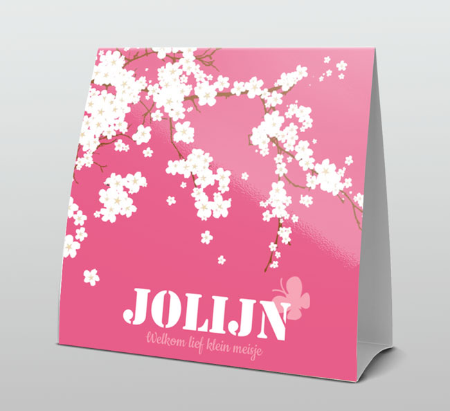 Roze met witte bloesem Roze met witte bloesem