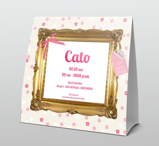 Barokstijl gouden lijstje Barokstijl gouden lijstje