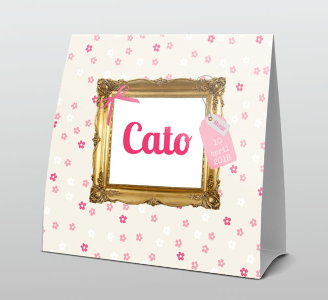 Barokstijl gouden lijstje Barokstijl gouden lijstje